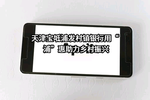 天津宝坻浦发村镇银行股份有限公司