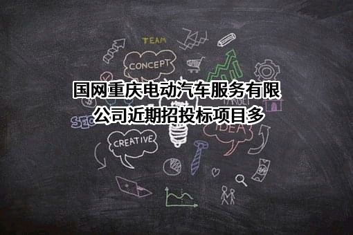 国网重庆电动汽车服务有限公司