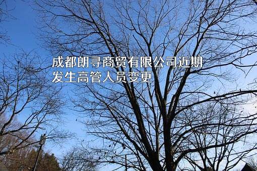 成都朗寻商贸有限公司