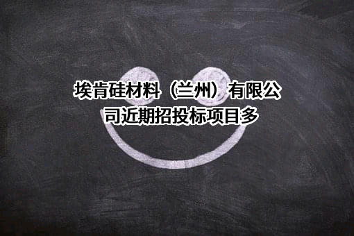 埃肯硅材料（兰州）有限公司