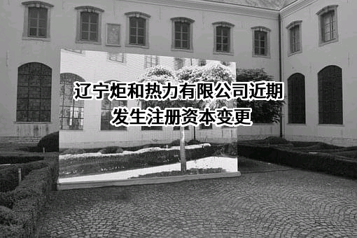 辽宁炬和热力有限公司