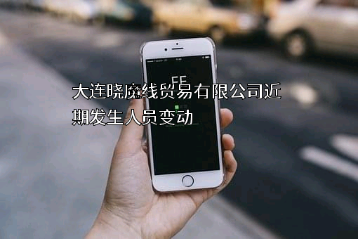 大连晓魔线贸易有限公司