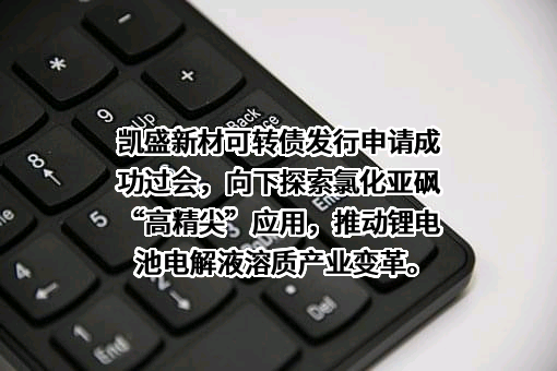 山东凯盛新材料股份有限公司
