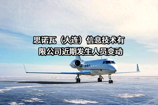 思诺瓦（大连）信息技术有限公司