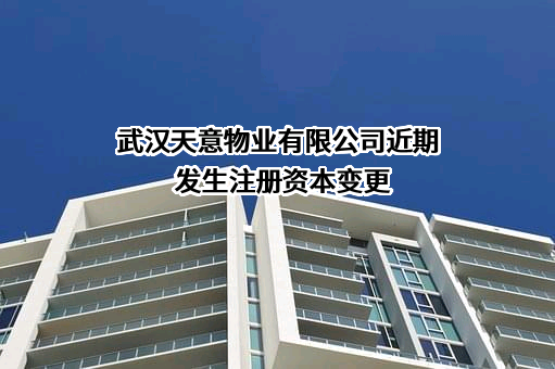 武汉天意物业有限公司