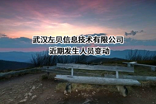 武汉左贝信息技术有限公司