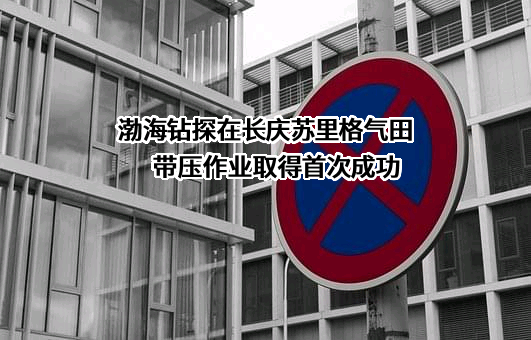 中国石油集团渤海钻探工程有限公司