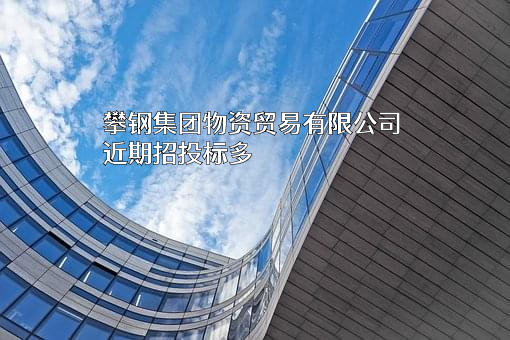 攀钢集团物资贸易有限公司