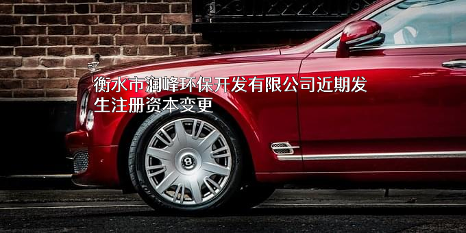 衡水市润峰环保开发有限公司