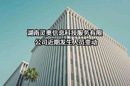湖南灵奥信息科技服务有限公司