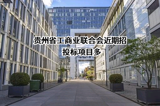 贵州省工商业联合会近期招投标项目多