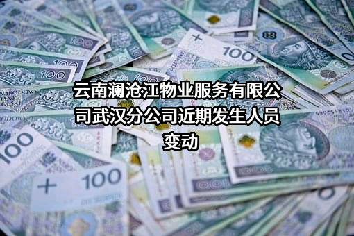 云南澜沧江物业服务有限公司武汉分公司