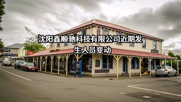 沈阳鑫顺驰科技有限公司