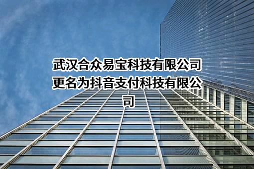 武汉合众易宝科技有限公司