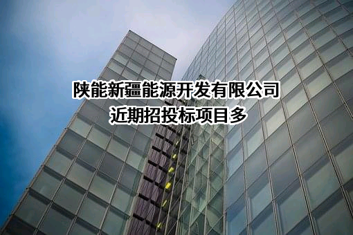 陕能新疆能源开发有限公司