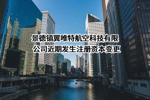 景德镇翼唯特航空科技有限公司