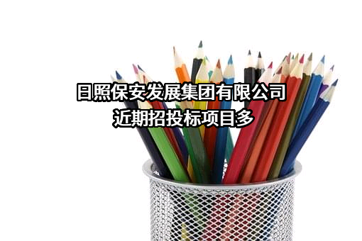 日照保安发展集团有限公司