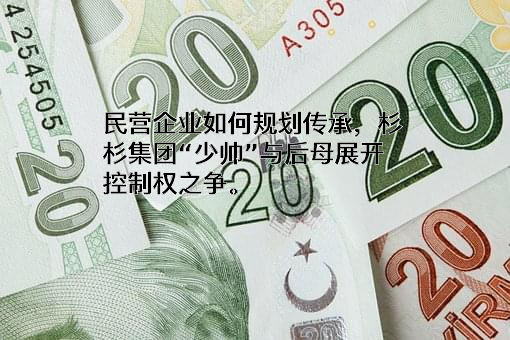 杉杉控股有限公司