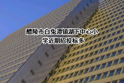 醴陵市白兔潭镇湖下中心小学近期招投标项目多