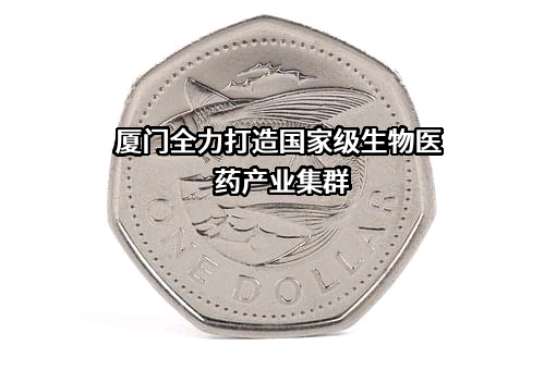 厦门市政工程有限公司