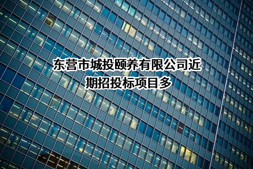 东营市城投颐养有限公司