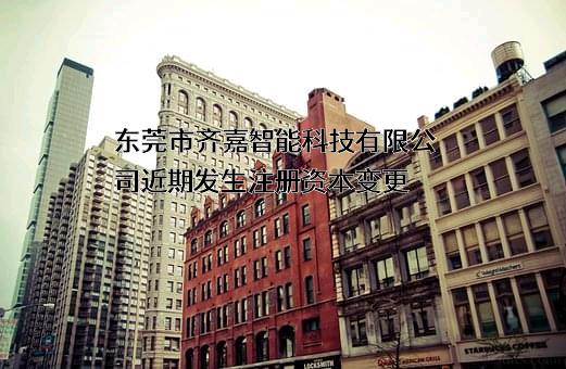 东莞市齐嘉智能科技有限公司