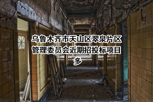乌鲁木齐市天山区翠泉片区管理委员会
