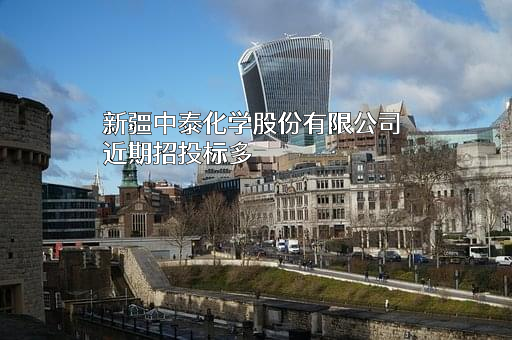 新疆中泰化学股份有限公司