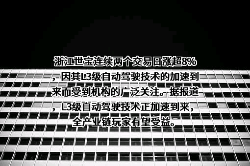 浙江世宝股份有限公司