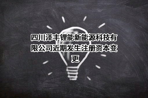 四川泽丰锂能新能源科技有限公司
