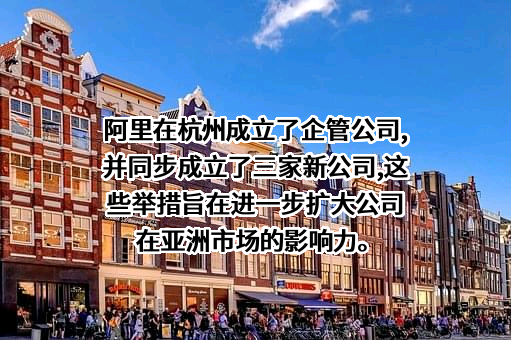 阿里巴巴集团控股有限公司