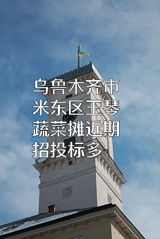 乌鲁木齐市米东区玉琴蔬菜摊