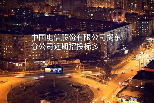 中国电信股份有限公司揭东分公司