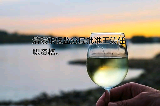 重庆涪陵中银富登村镇银行有限公司
