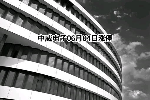 杭州中威电子股份有限公司