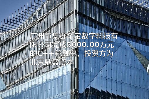 广州市集群车宝数字科技有限公司