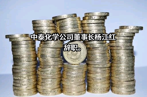 新疆中泰化学股份有限公司
