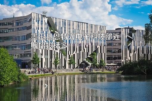 墨玉县恩特力电子科技部
