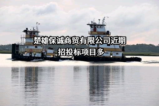 楚雄保诚商贸有限公司