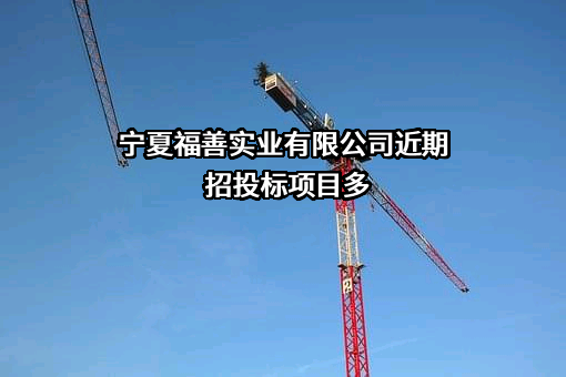 宁夏福善实业有限公司