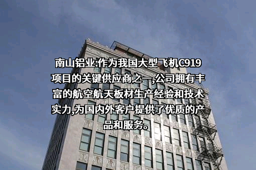 山东南山铝业股份有限公司