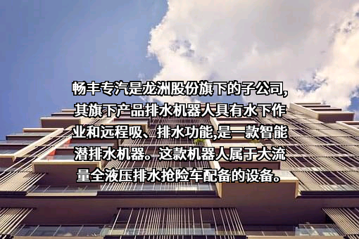 龙洲集团股份有限公司