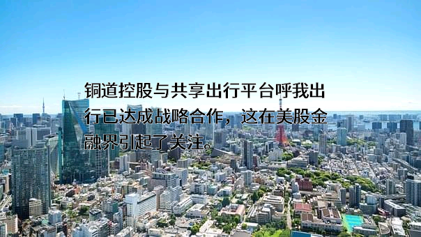 重庆呼我出行网络科技有限公司