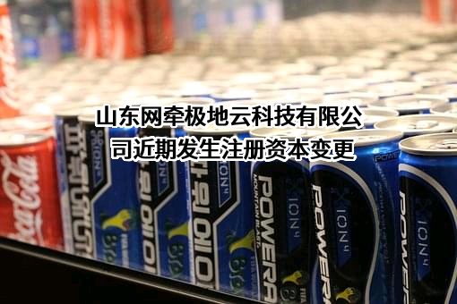 山东网牵极地云科技有限公司