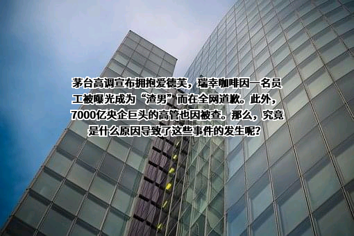 贵州茅台酒股份有限公司