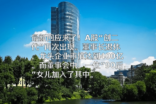 碧桂园控股有限公司
