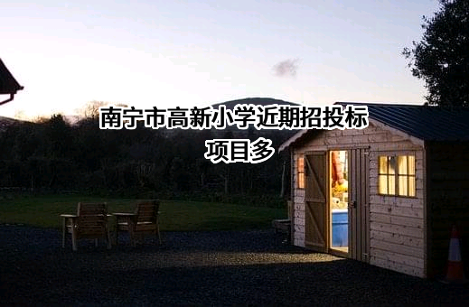 南宁市高新小学近期招投标项目多