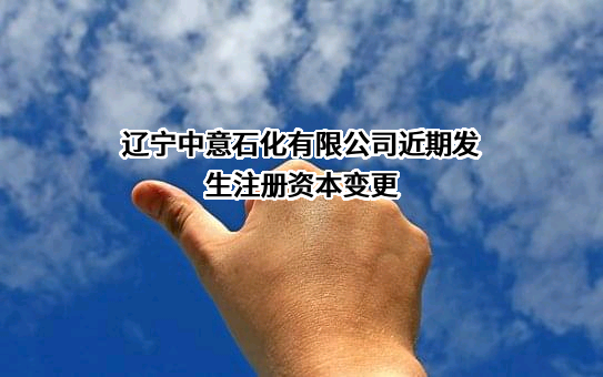 辽宁中意石化有限公司