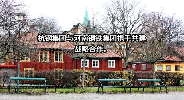 河南钢铁控股集团有限公司