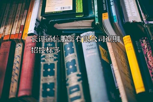 长讯通信服务有限公司